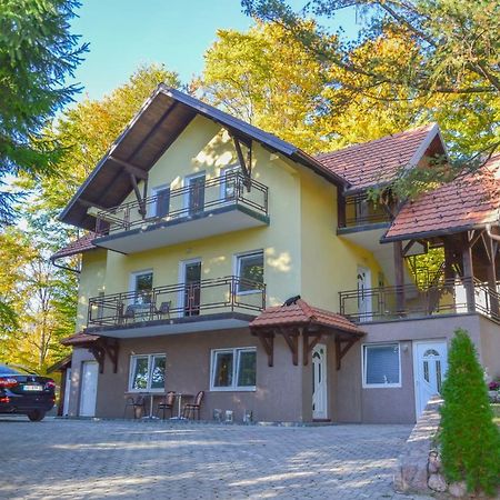 Vila Savinka Златибор Екстер'єр фото