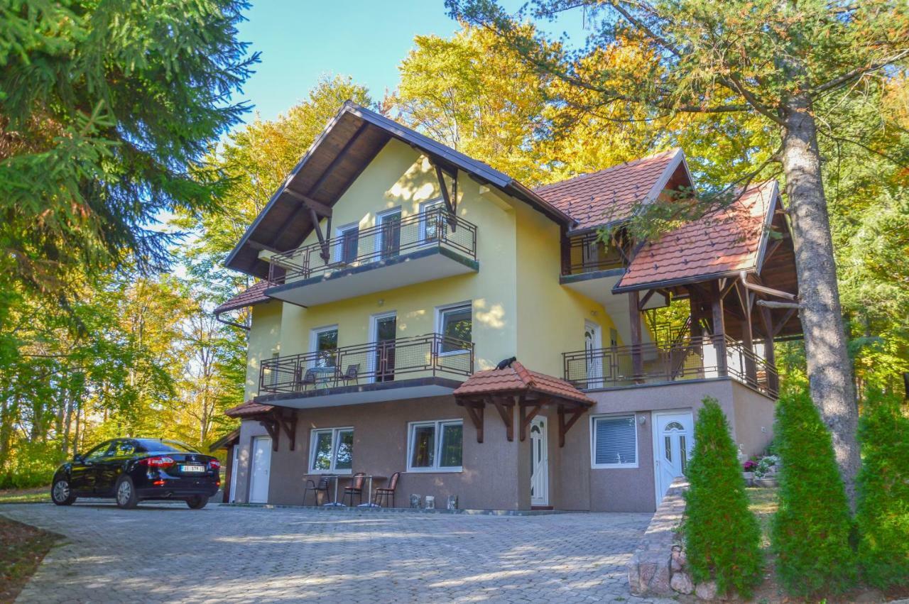 Vila Savinka Златибор Екстер'єр фото