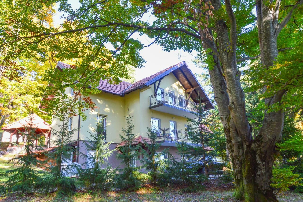Vila Savinka Златибор Екстер'єр фото